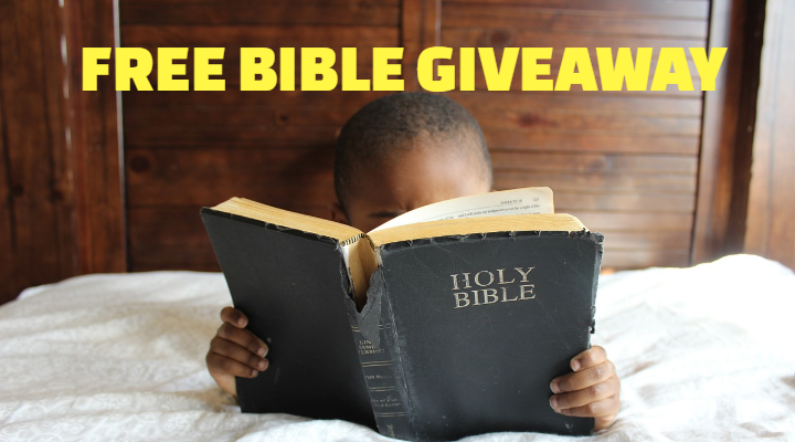 Book Review and Giveaway – Day by Day Chronological Bible