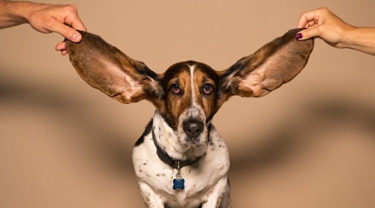 Give us EARS to Hear