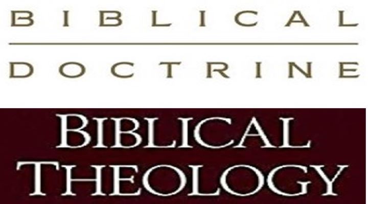 Biblical Doctrine and Biblical Theology (book reviews)