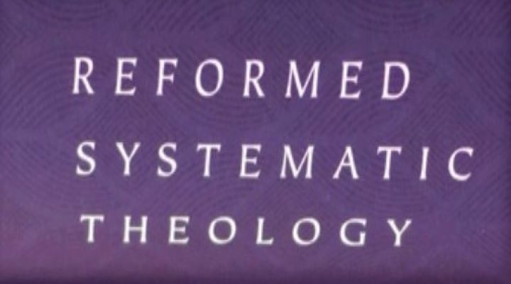 Reformed Systematic Theology – Vol 2: Man and Christ (book review)